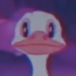 Meet your Posher, Fernando